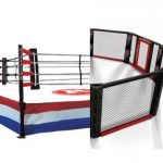 金網vsリング(ロープ)、MMAの試合場に適してるのはどちらか？